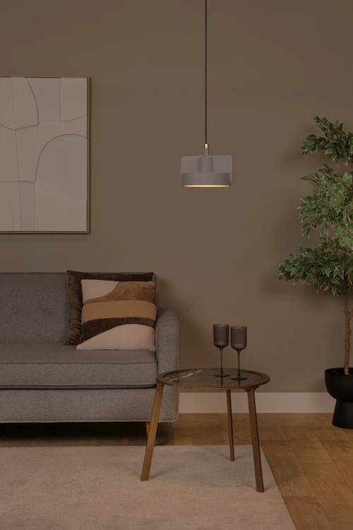 Lucide NINJA - Suspension - Ø 20 cm - 1xE27 - Gris - ambiance 1